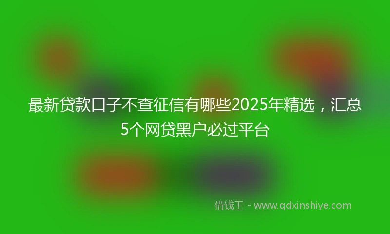 最新贷款口子不查征信有哪些2025年精选，汇总5个网贷黑户必过平台