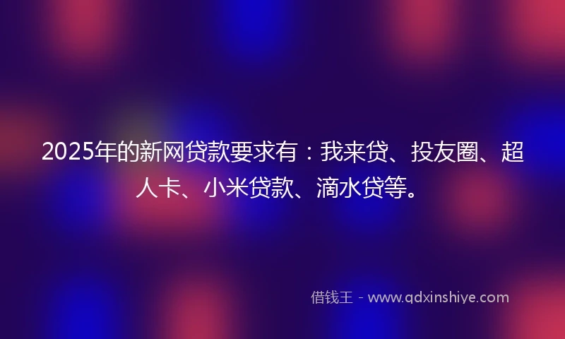 2025年的新网贷款要求有：我来贷、投友圈、超人卡、小米贷款、滴水贷等。