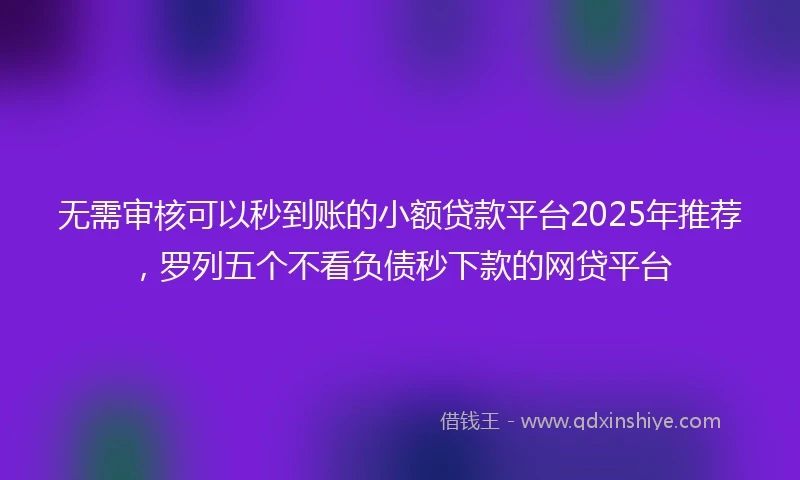 无需审核可以秒到账的小额贷款平台2025年推荐,罗列五个不看负债秒下款的网贷平台