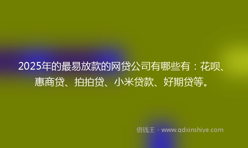 2025年的最易放款的网贷公司有哪些有：花呗、惠商贷、拍拍贷、小米贷款、好期贷等。