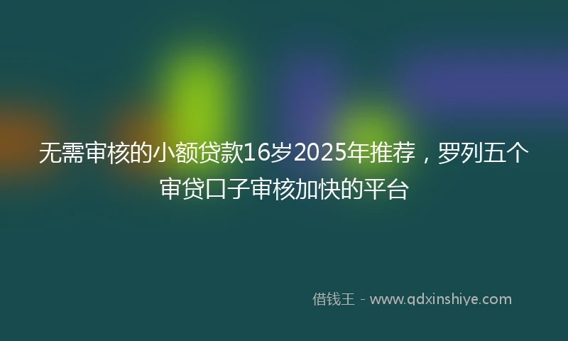 无需审核的小额贷款16岁2025年推荐,罗列五个审贷口子审核加快的平台