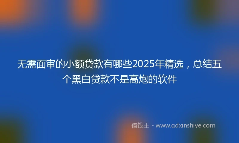 无需面审的小额贷款有哪些2025年精选，总结五个黑白贷款不是高炮的软件