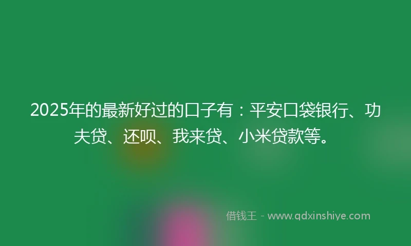 2025年的最新好过的口子有：平安口袋银行、功夫贷、还呗、我来贷、小米贷款等。