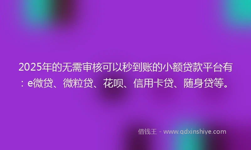 2025年的无需审核可以秒到账的小额贷款平台有：e微贷、微粒贷、花呗、信用卡贷、随身贷等。