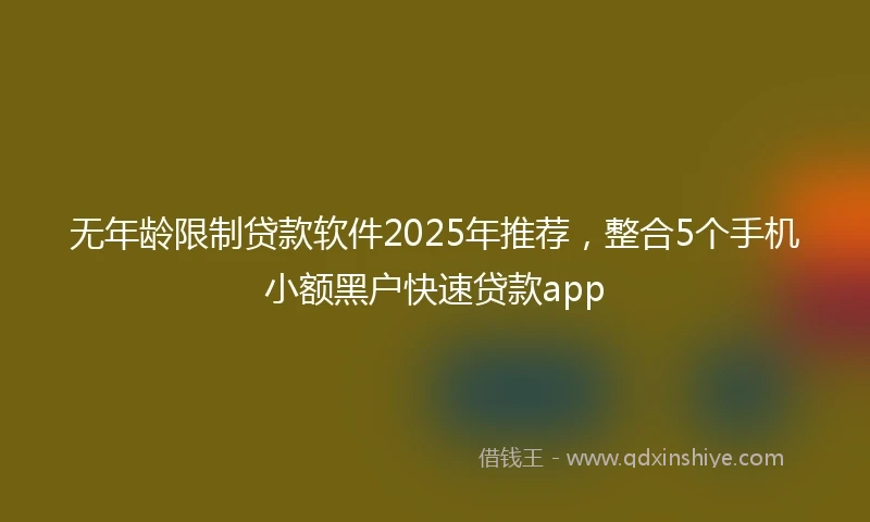 无年龄限制贷款软件2025年推荐，整合5个手机小额黑户快速贷款app