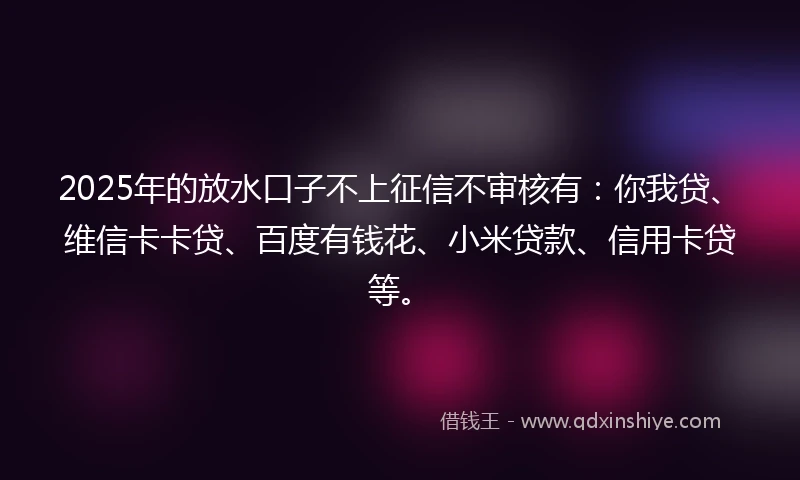 2025年的放水口子不上征信不审核有：你我贷、维信卡卡贷、百度有钱花、小米贷款、信用卡贷等。