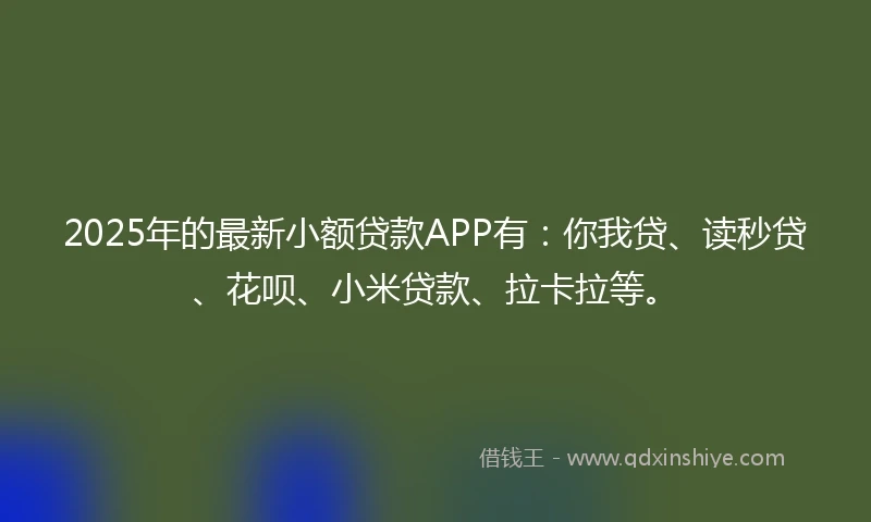 2025年的最新小额贷款APP有：你我贷、读秒贷、花呗、小米贷款、拉卡拉等。