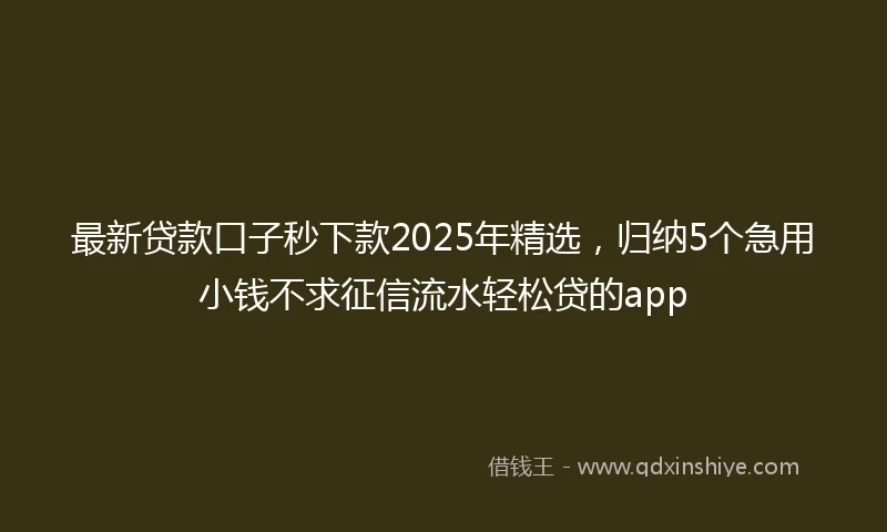 最新贷款口子秒下款2025年精选，归纳5个急用小钱不求征信流水轻松贷的app