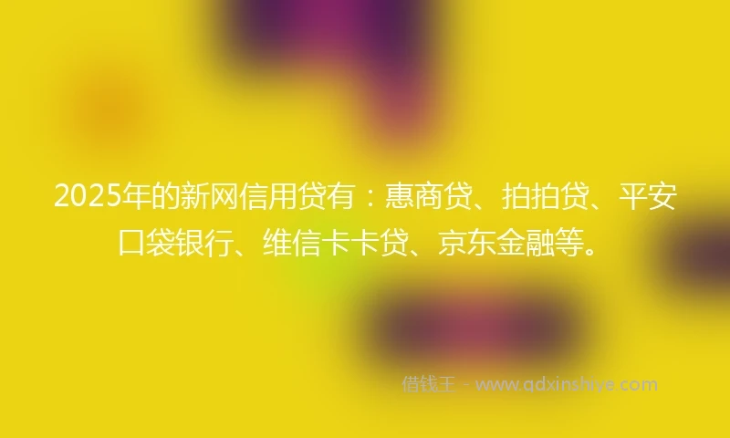 2025年的新网信用贷有：惠商贷、拍拍贷、平安口袋银行、维信卡卡贷、京东金融等。
