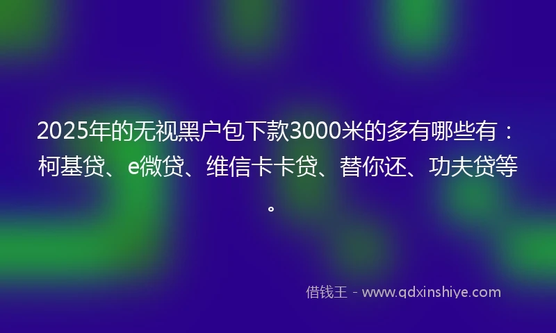 2025年的无视黑户包下款3000米的多有哪些有:柯基贷、e微贷、维信卡卡贷、替你还、功夫贷等。