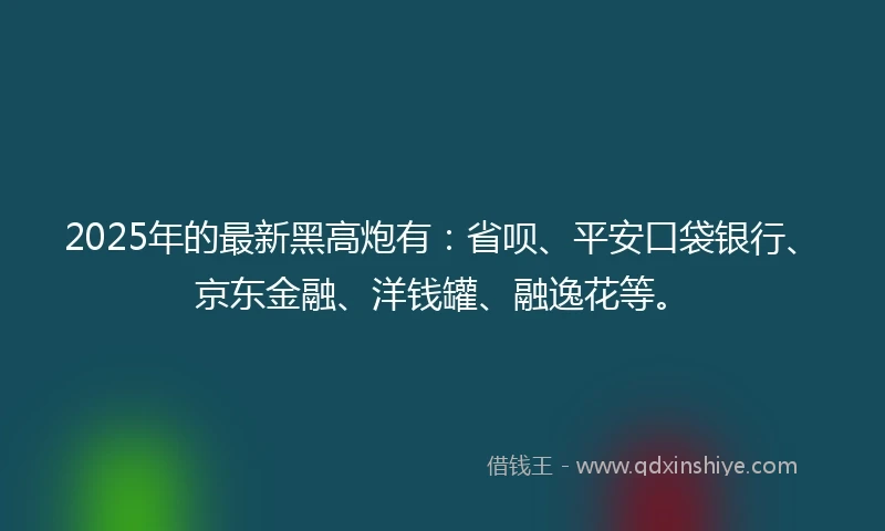 2025年的最新黑高炮有：省呗、平安口袋银行、京东金融、洋钱罐、融逸花等。