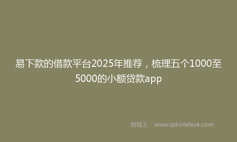 易下款的借款平台2025年推荐，梳理五个1000至5000的小额贷款app