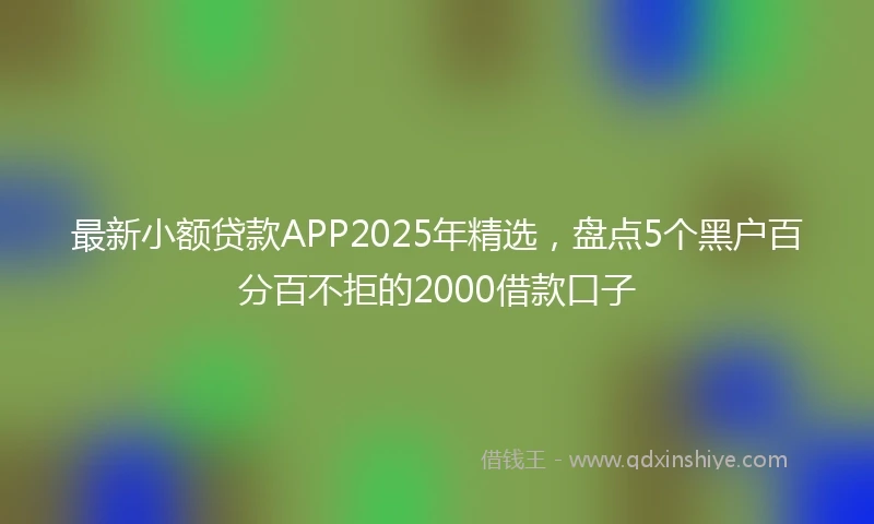 最新小额贷款APP2025年精选，盘点5个黑户百分百不拒的2000借款口子