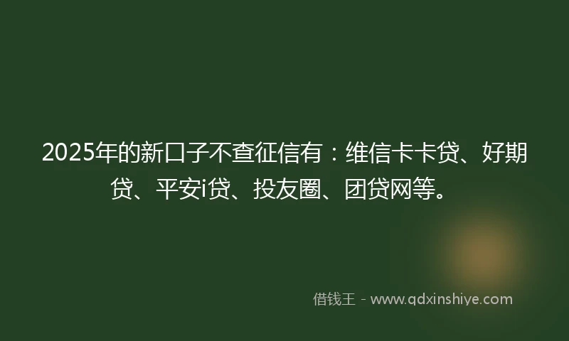 2025年的新口子不查征信有：维信卡卡贷、好期贷、平安i贷、投友圈、团贷网等。