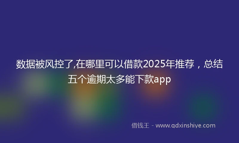 数据被风控了,在哪里可以借款2025年推荐，总结五个逾期太多能下款app
