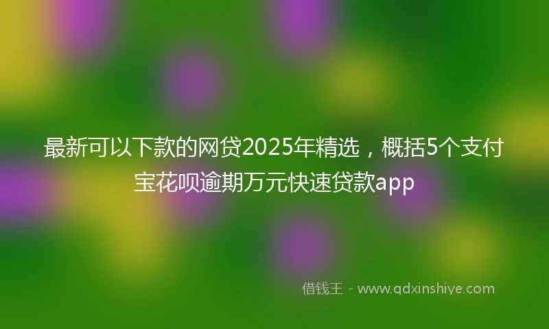 最新可以下款的网贷2025年精选，概括5个支付宝花呗逾期万元快速贷款app