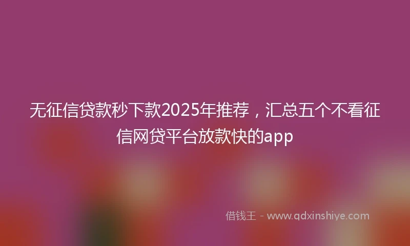 无征信贷款秒下款2025年推荐，汇总五个不看征信网贷平台放款快的app