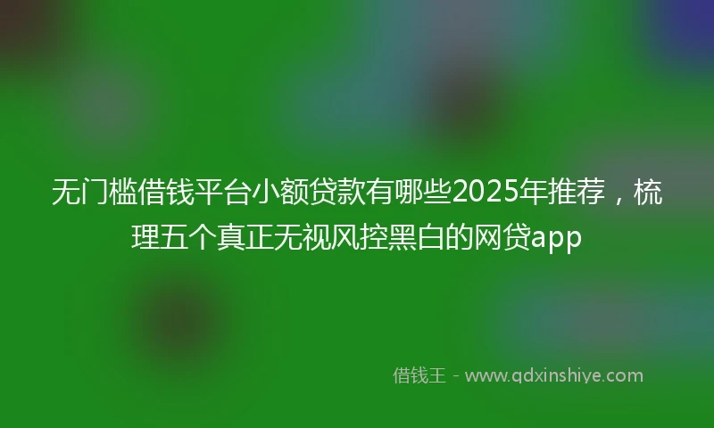 无门槛借钱平台小额贷款有哪些2025年推荐，梳理五个真正无视风控黑白的网贷app