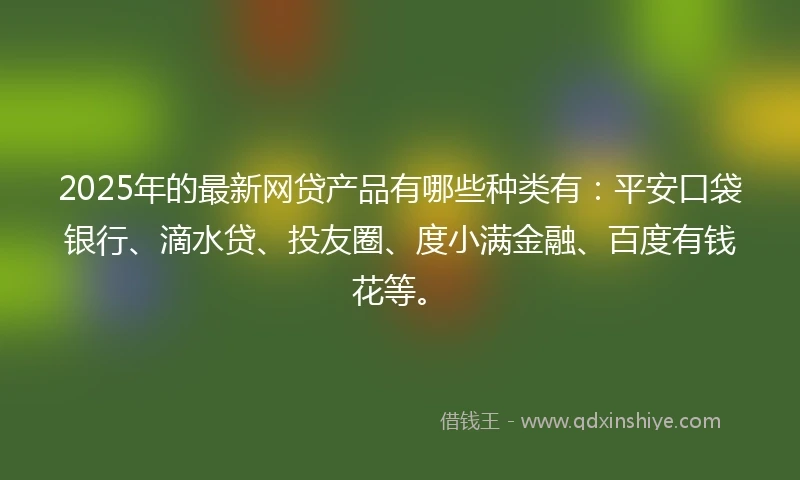 2025年的最新网贷产品有哪些种类有：平安口袋银行、滴水贷、投友圈、度小满金融、百度有钱花等。