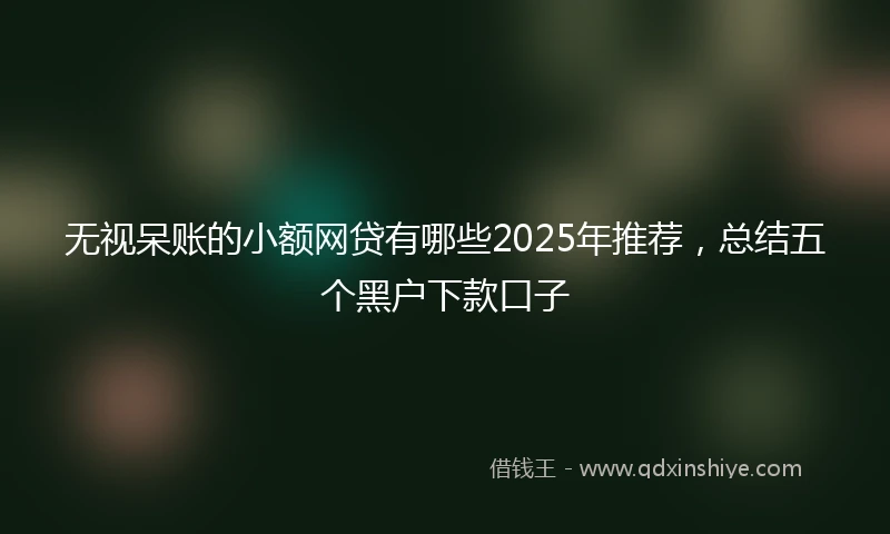 无视呆账的小额网贷有哪些2025年推荐，总结五个黑户下款口子