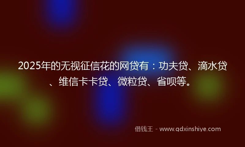 2025年的无视征信花的网贷有：功夫贷、滴水贷、维信卡卡贷、微粒贷、省呗等。