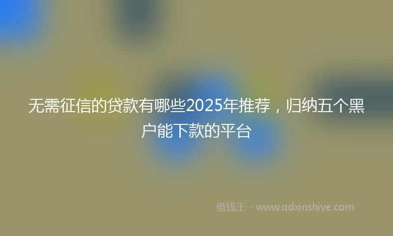 无需征信的贷款有哪些2025年推荐，归纳五个黑户能下款的平台
