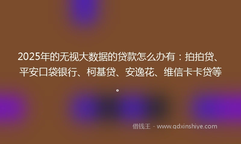 2025年的无视大数据的贷款怎么办有：拍拍贷、平安口袋银行、柯基贷、安逸花、维信卡卡贷等。