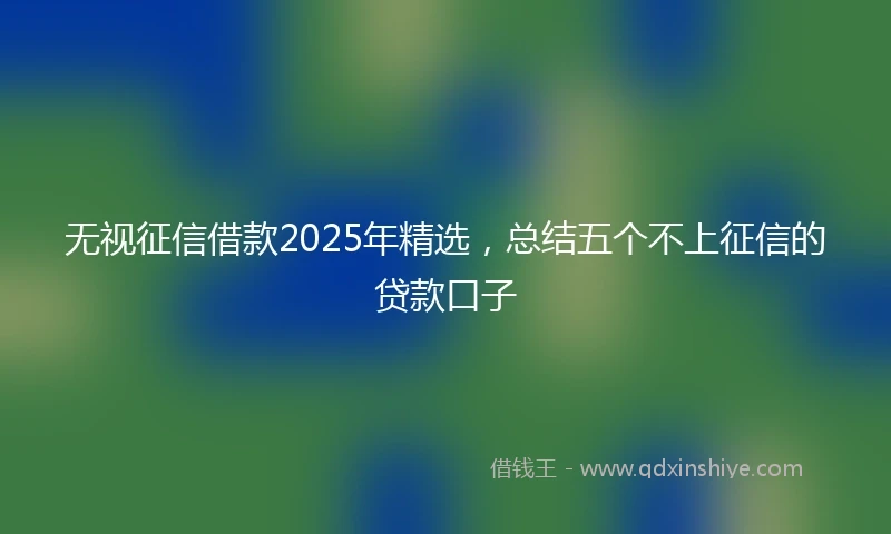 无视征信借款2025年精选，总结五个不上征信的贷款口子