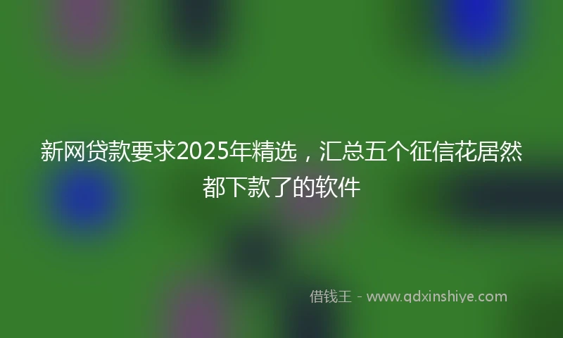 新网贷款要求2025年精选，汇总五个征信花居然都下款了的软件