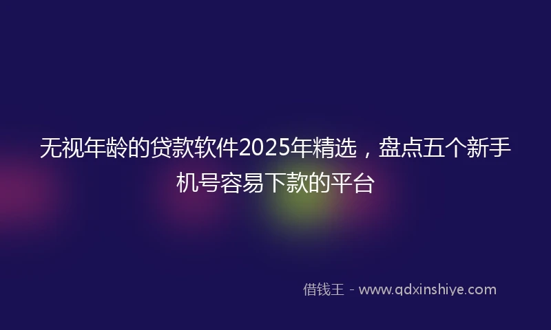 无视年龄的贷款软件2025年精选，盘点五个新手机号容易下款的平台