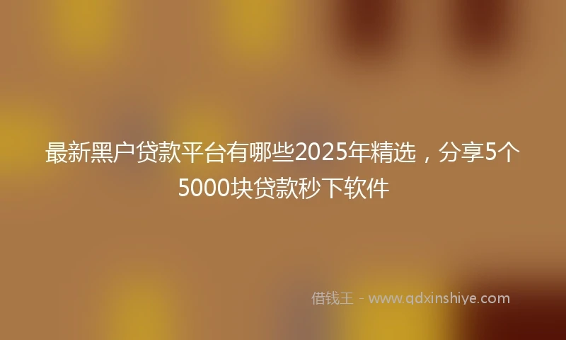 最新黑户贷款平台有哪些2025年精选，分享5个5000块贷款秒下软件