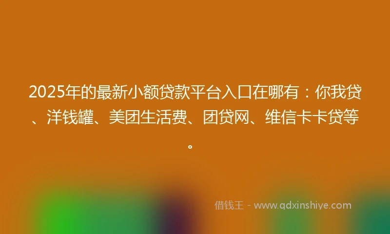 2025年的最新小额贷款平台入口在哪有：你我贷、洋钱罐、美团生活费、团贷网、维信卡卡贷等。