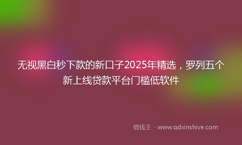 无视黑白秒下款的新口子2025年精选，罗列五个新上线贷款平台门槛低软件