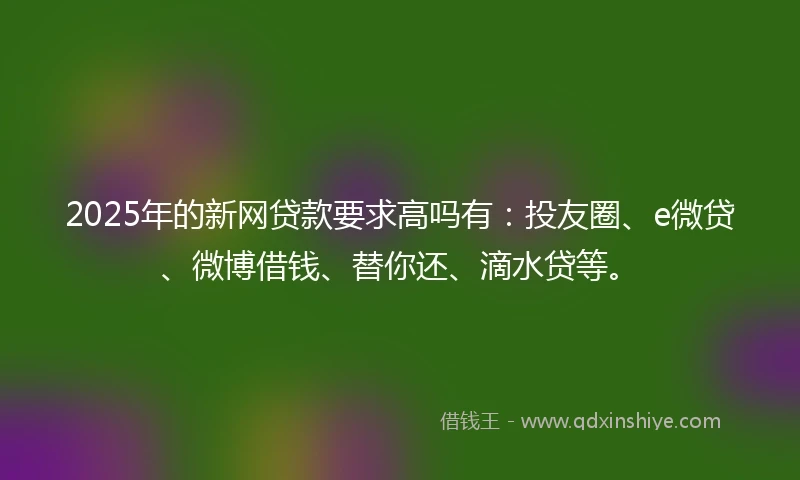 2025年的新网贷款要求高吗有：投友圈、e微贷、微博借钱、替你还、滴水贷等。
