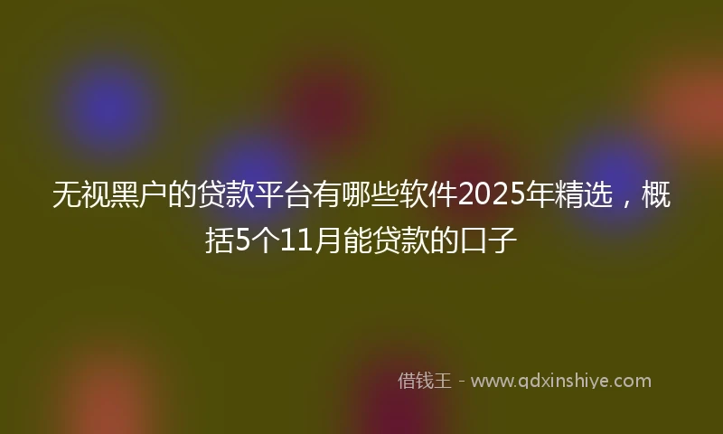 无视黑户的贷款平台有哪些软件2025年精选,概括5个11月能贷款的口子