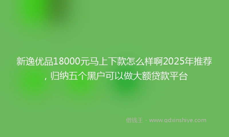 新逸优品18000元马上下款怎么样啊2025年推荐，归纳五个黑户可以做大额贷款平台