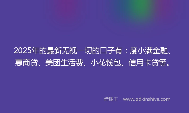 2025年的最新无视一切的口子有:度小满金融、惠商贷、美团生活费、小花钱包、信用卡贷等。