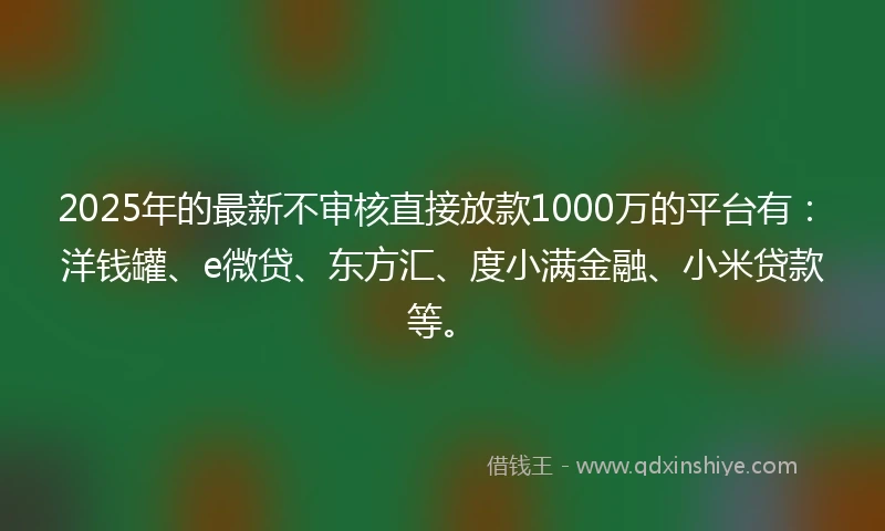 2025年的最新不审核直接放款1000万的平台有：洋钱罐、e微贷、东方汇、度小满金融、小米贷款等。