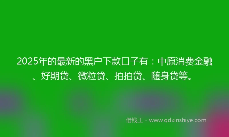 2025年的最新的黑户下款口子有：中原消费金融、好期贷、微粒贷、拍拍贷、随身贷等。
