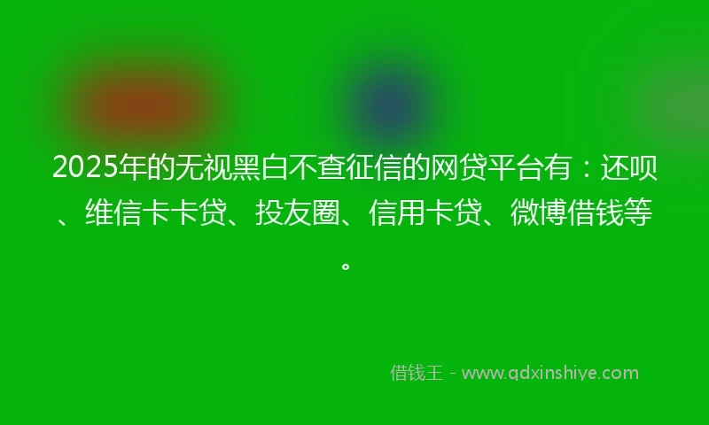 2025年的无视黑白不查征信的网贷平台有：还呗、维信卡卡贷、投友圈、信用卡贷、微博借钱等。