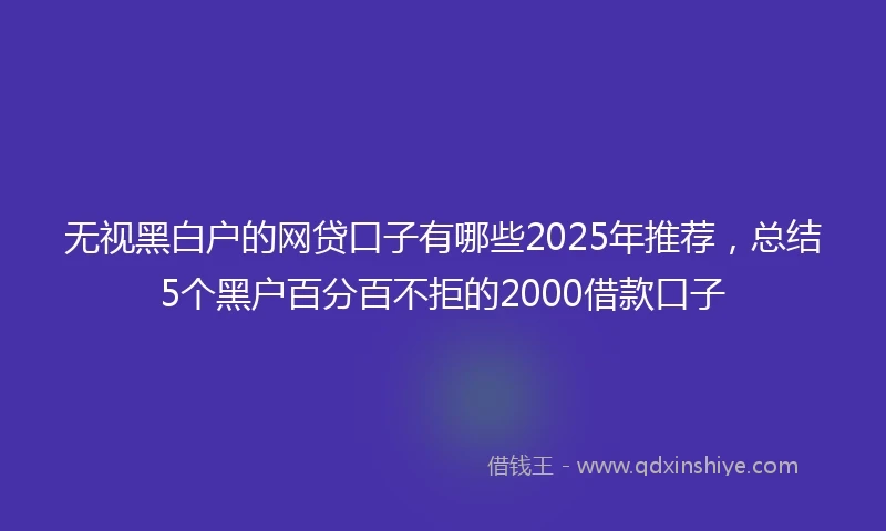 无视黑白户的网贷口子有哪些2025年推荐，总结5个黑户百分百不拒的2000借款口子