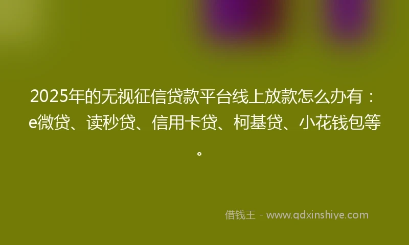 2025年的无视征信贷款平台线上放款怎么办有：e微贷、读秒贷、信用卡贷、柯基贷、小花钱包等。