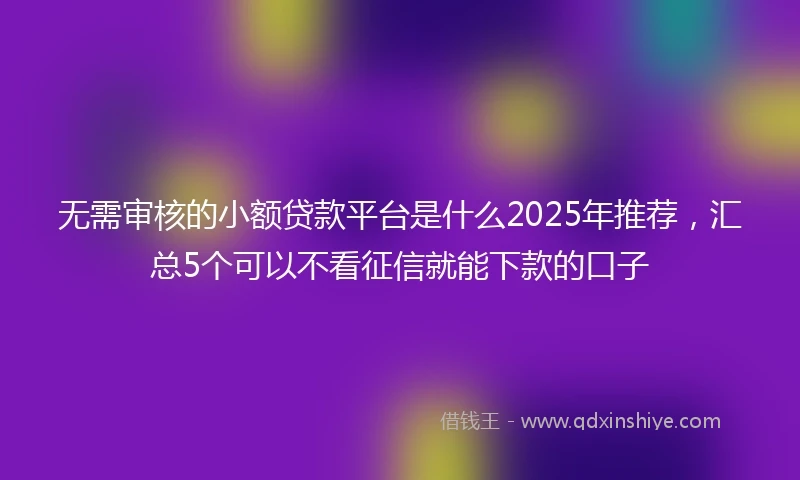 无需审核的小额贷款平台是什么2025年推荐，汇总5个可以不看征信就能下款的口子