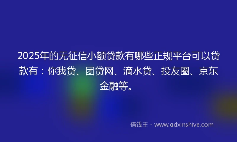 2025年的无征信小额贷款有哪些正规平台可以贷款有：你我贷、团贷网、滴水贷、投友圈、京东金融等。