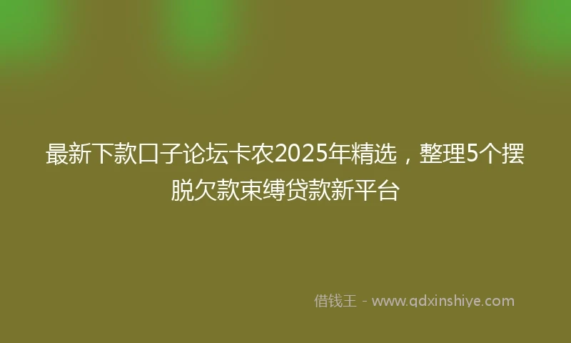 最新下款口子论坛卡农2025年精选，整理5个摆脱欠款束缚贷款新平台