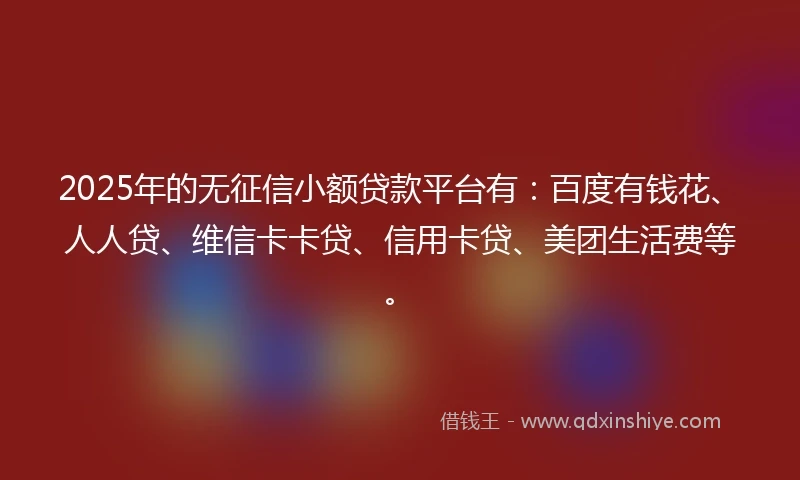 2025年的无征信小额贷款平台有：百度有钱花、人人贷、维信卡卡贷、信用卡贷、美团生活费等。