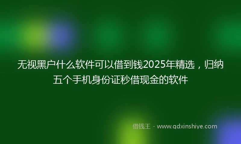 无视黑户什么软件可以借到钱2025年精选，归纳五个手机身份证秒借现金的软件