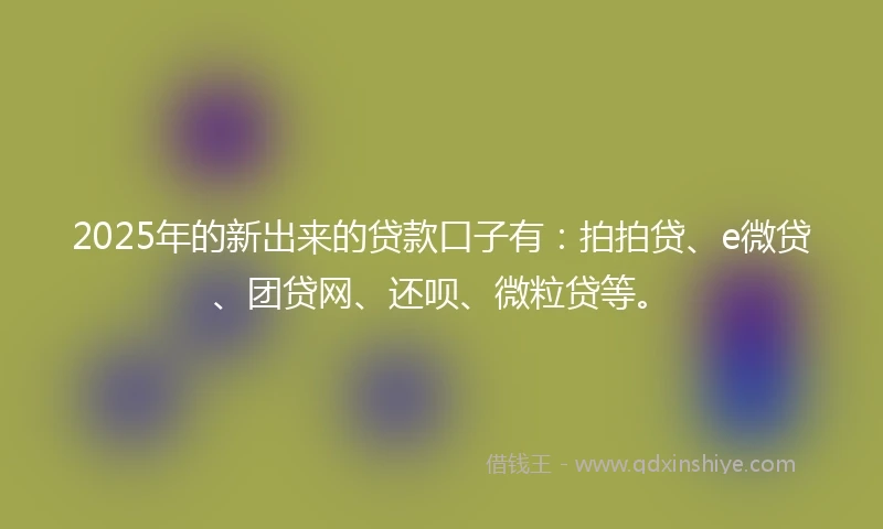 2025年的新出来的贷款口子有：拍拍贷、e微贷、团贷网、还呗、微粒贷等。
