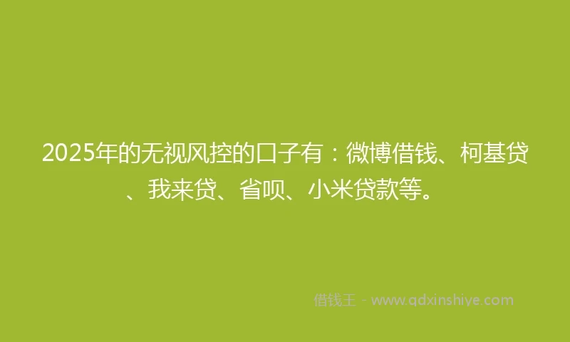 2025年的无视风控的口子有：微博借钱、柯基贷、我来贷、省呗、小米贷款等。