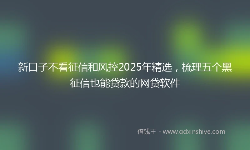 新口子不看征信和风控2025年精选，梳理五个黑征信也能贷款的网贷软件